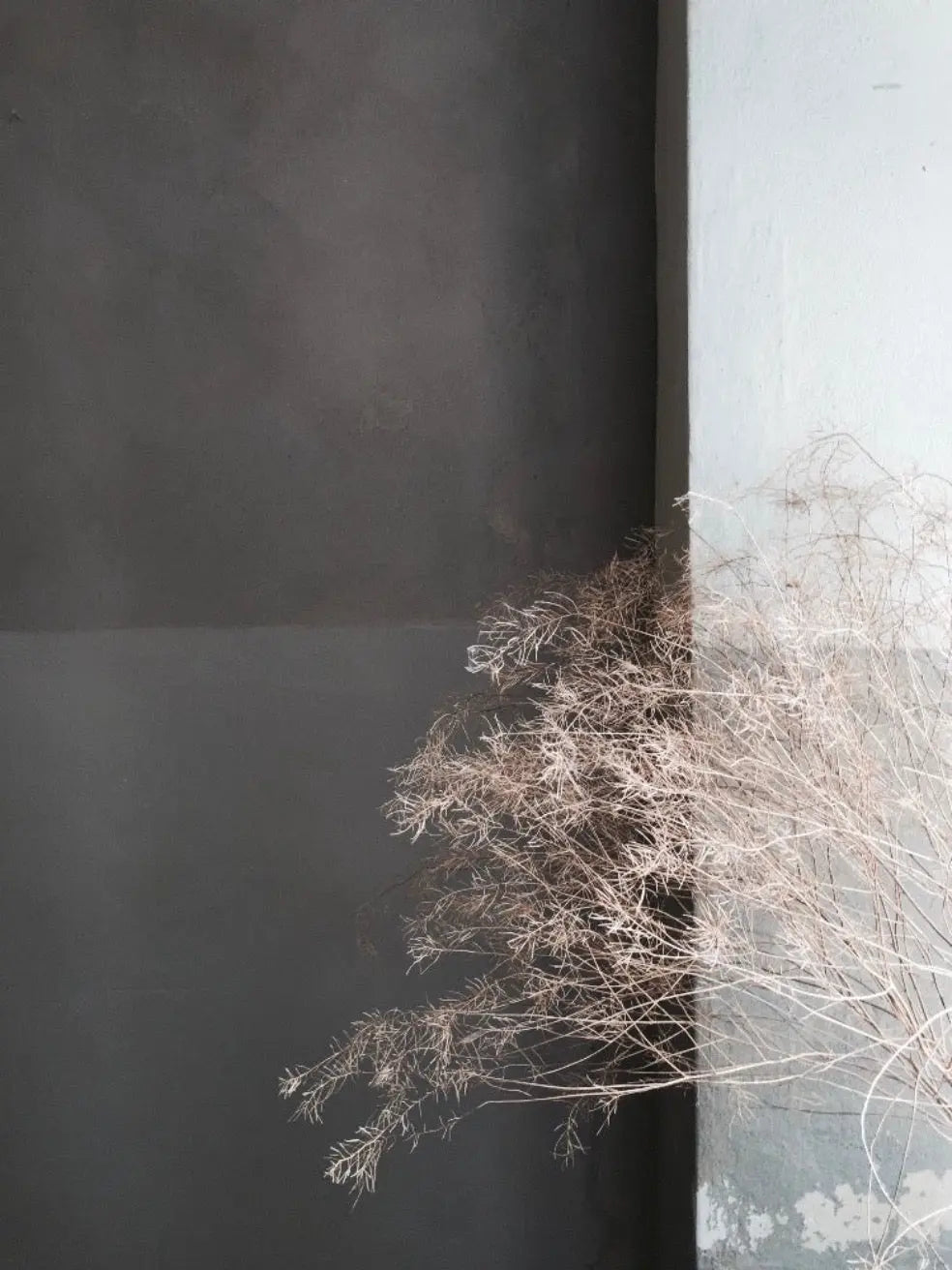 Bauwerk Limewash -  Anise