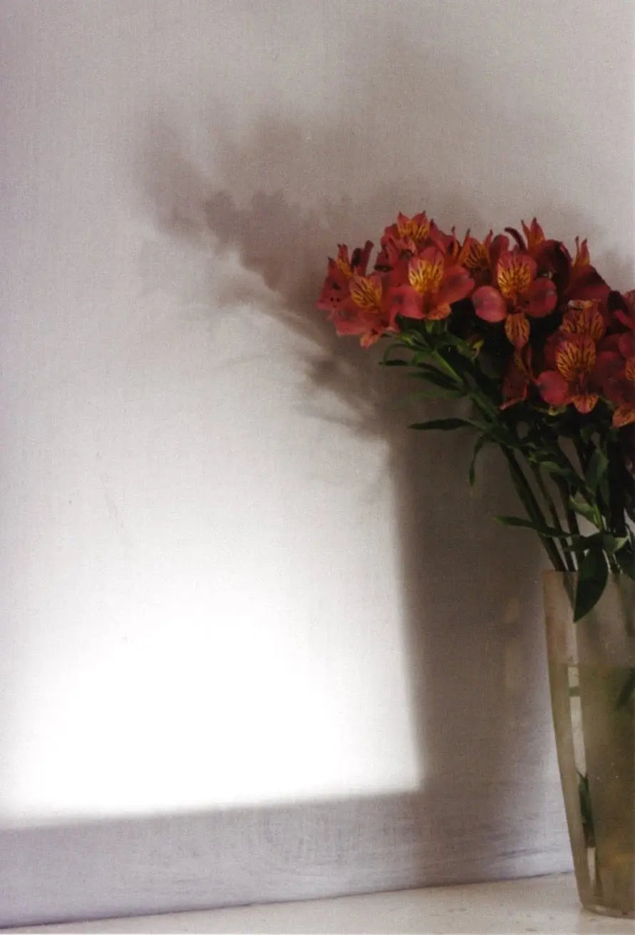 Bauwerk Limewash - Ardoise