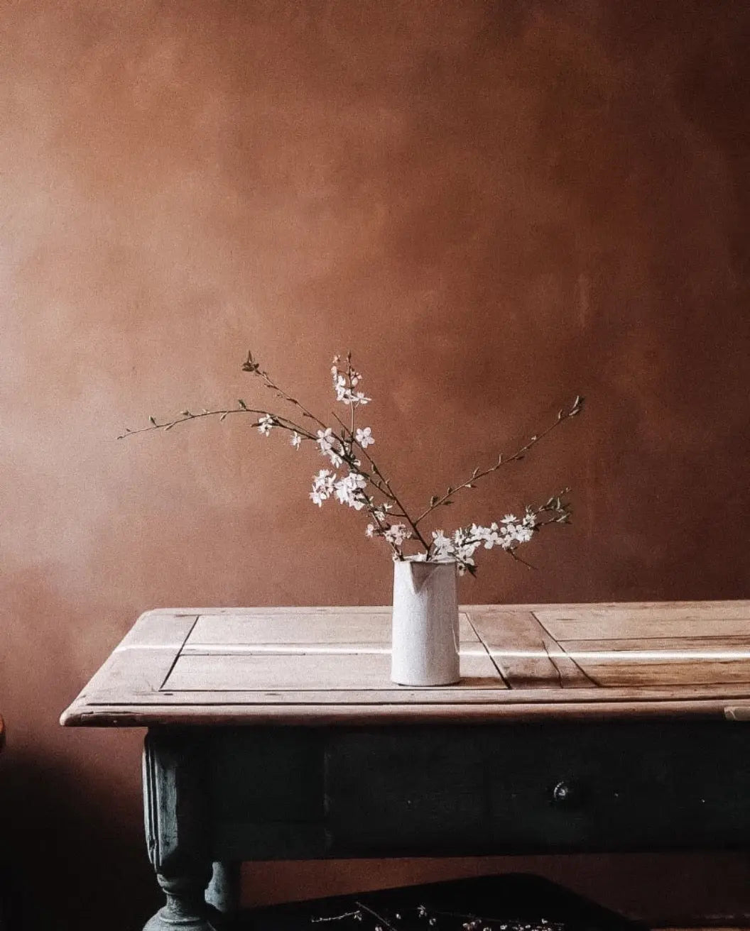 Bauwerk Limewash -  Bracken