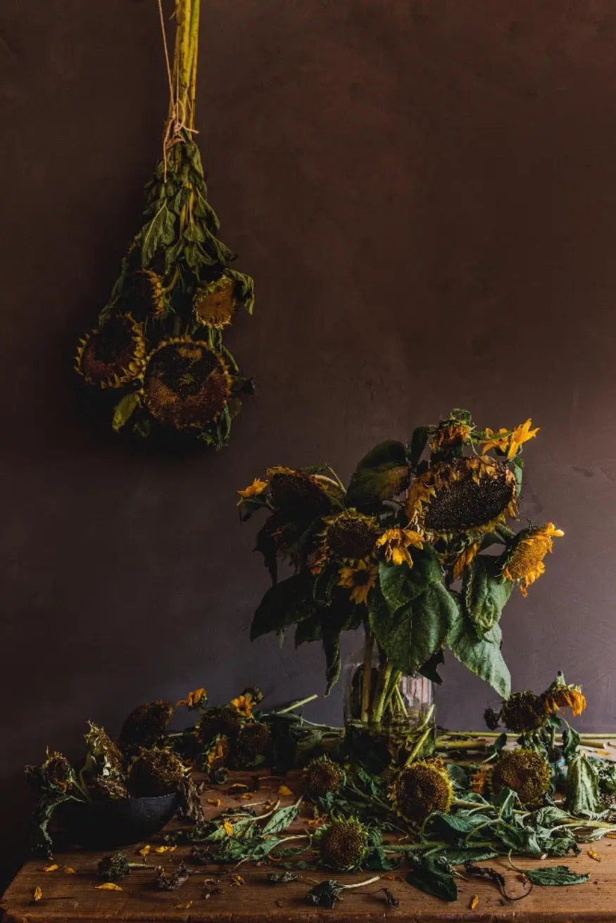 Bauwerk Limewash - Clove