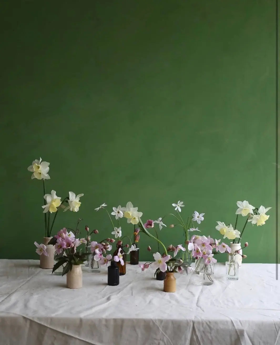 Bauwerk Limewash - Dandelion