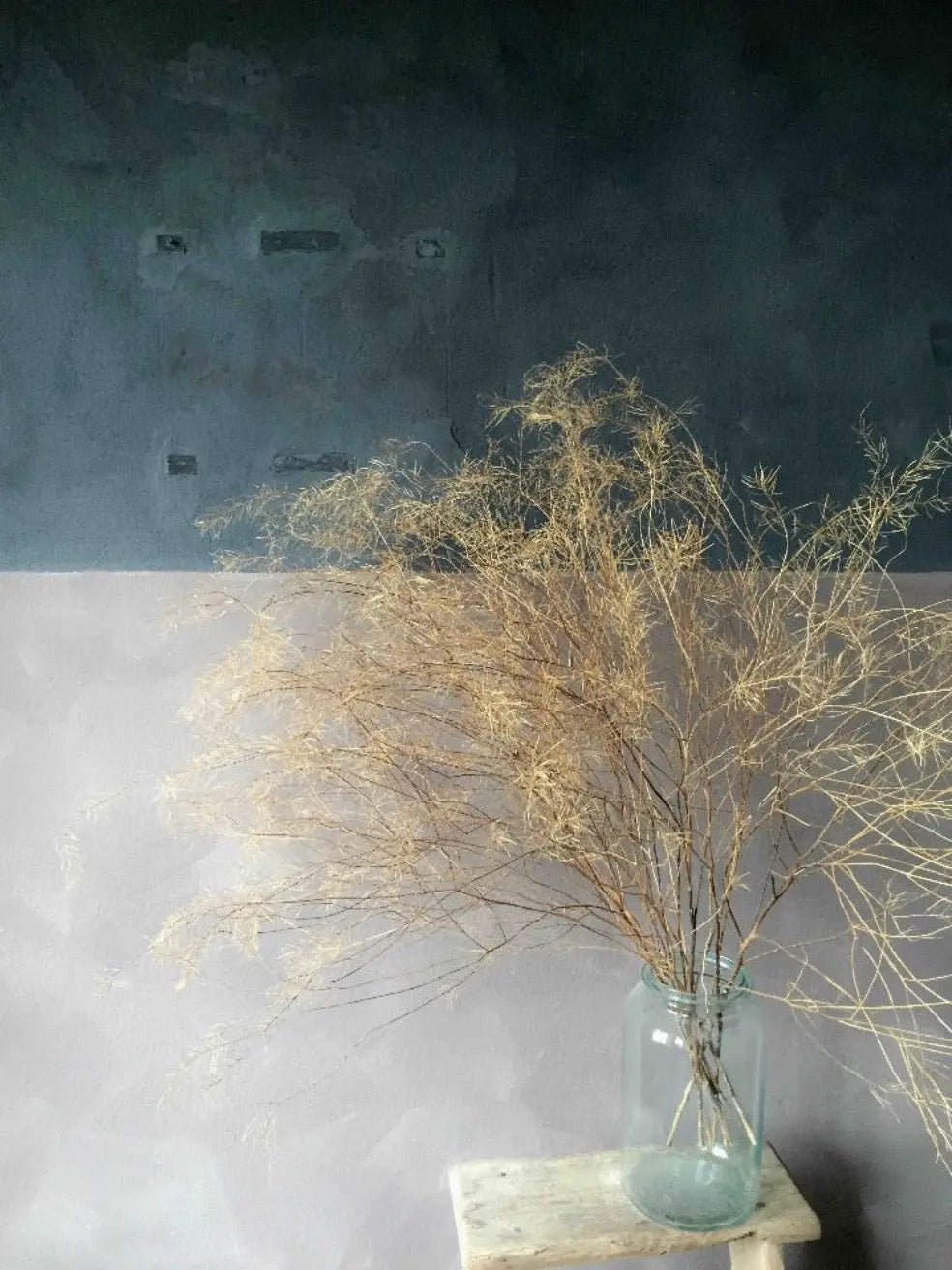 Bauwerk Limewash -   Elkhorn