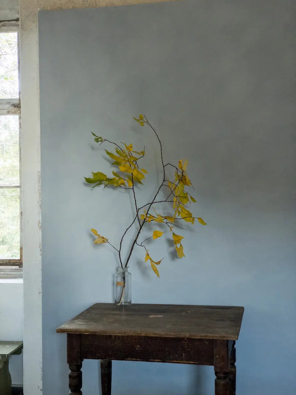 Bauwerk Limewash - Forget Me Not