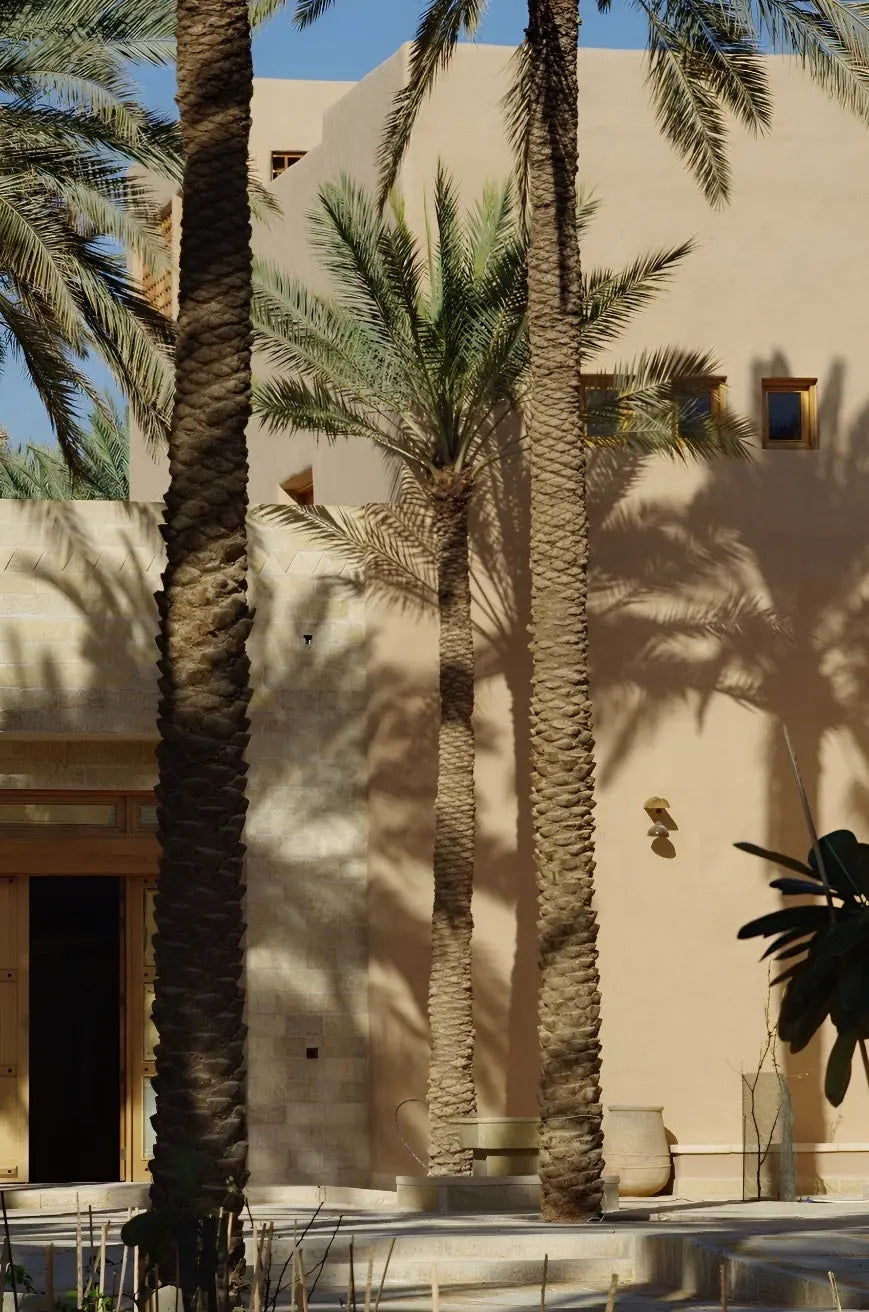 Bauwerk Limewash - Hay