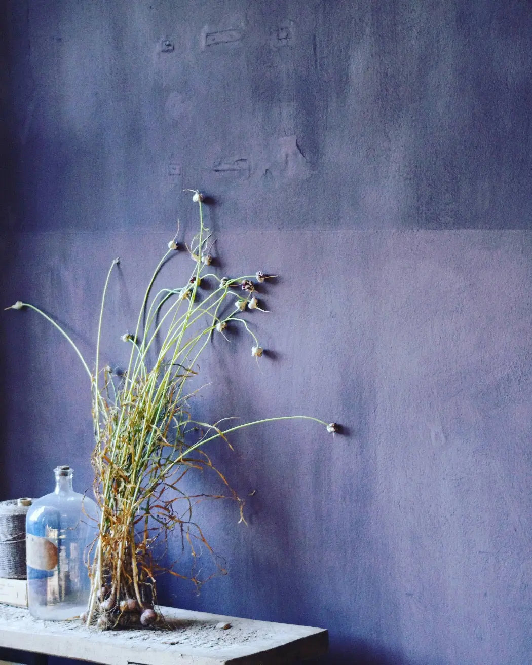 Bauwerk Limewash - Hellebore