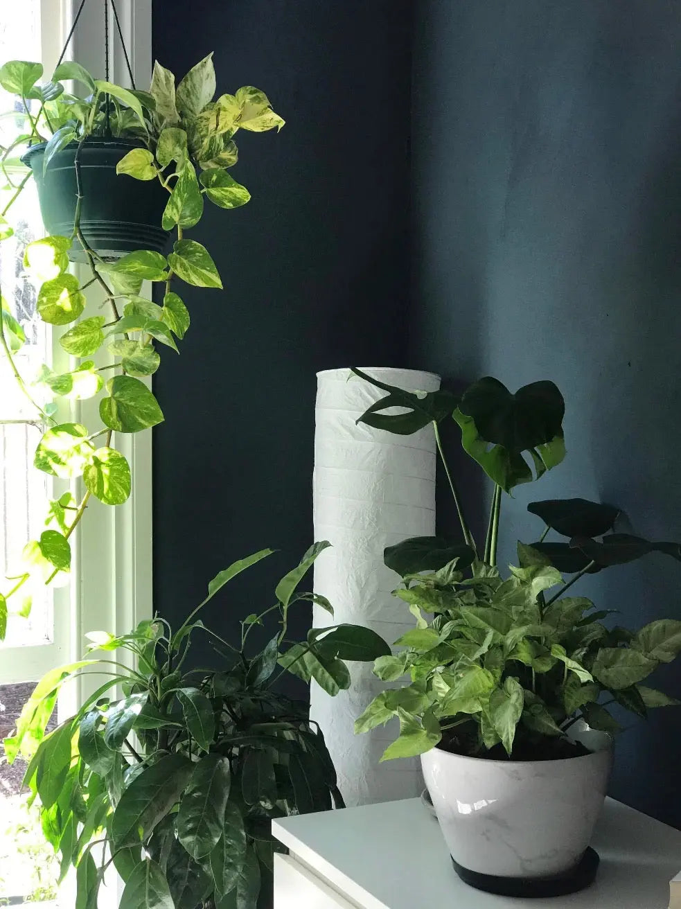 Bauwerk Limewash - Juniper