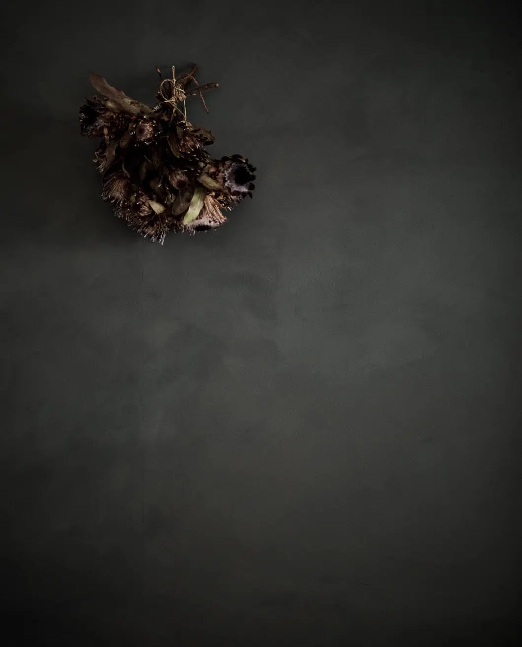 Bauwerk Limewash -  Koala