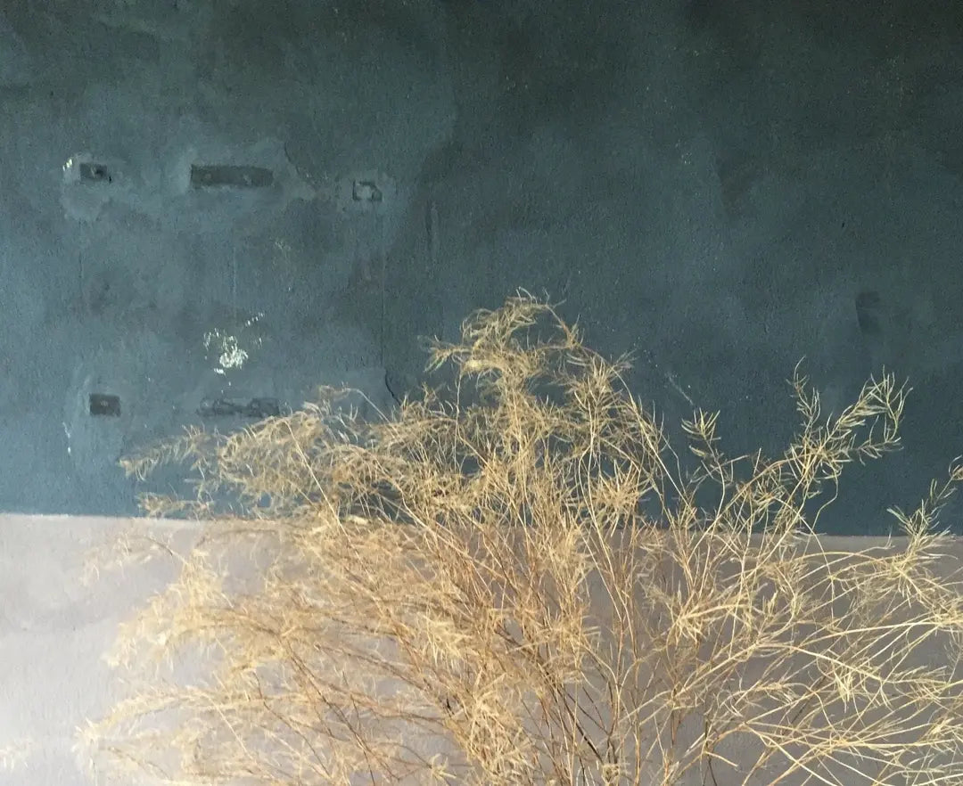 Bauwerk Limewash -  Laurel