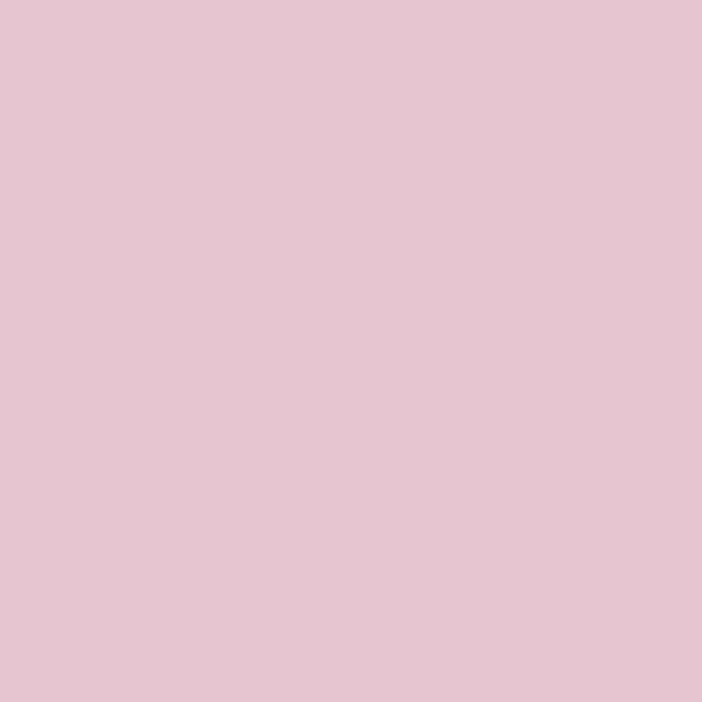 Bauwerk Limewash -  Lotus