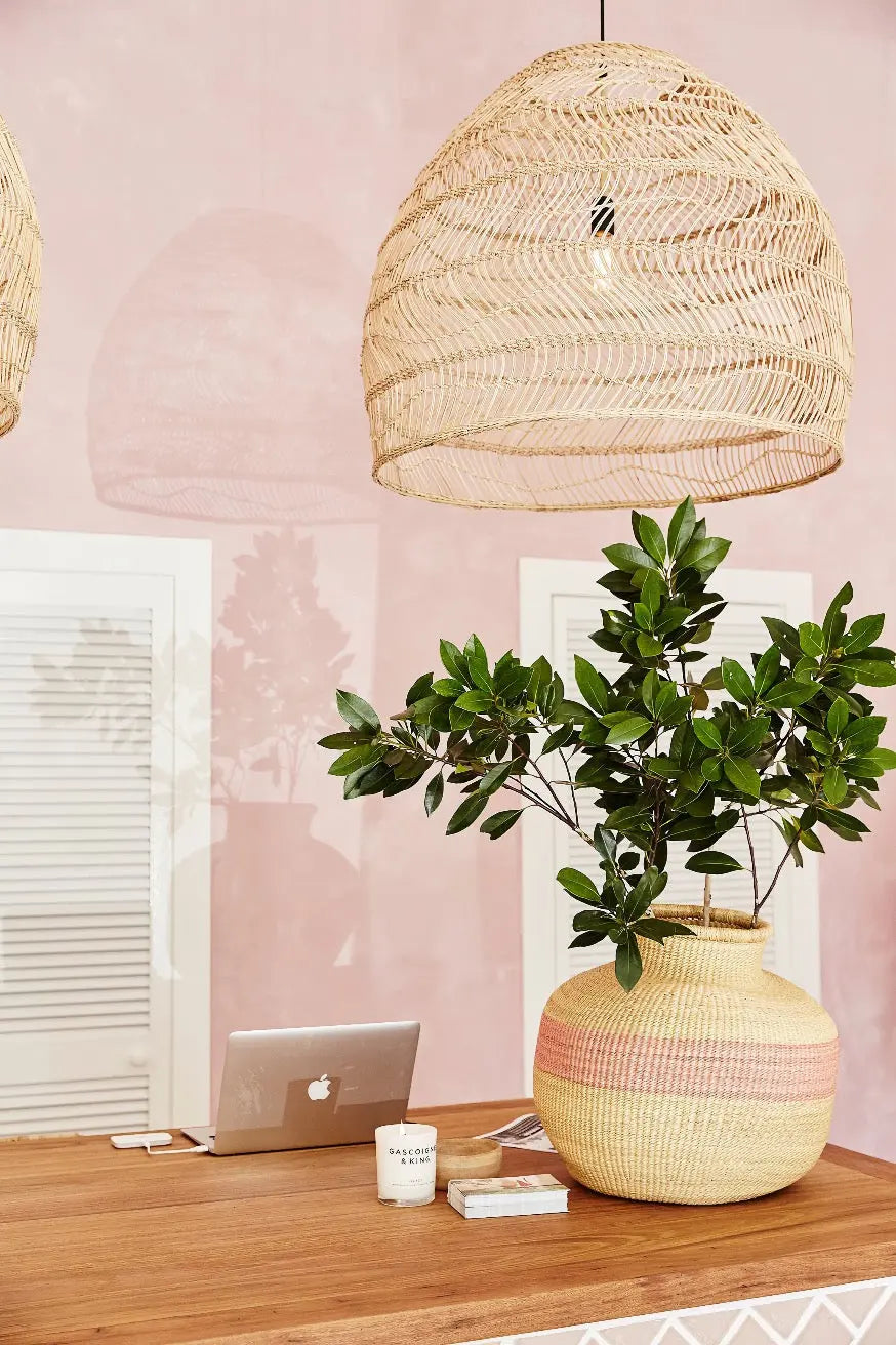 Bauwerk Limewash -  Malibu