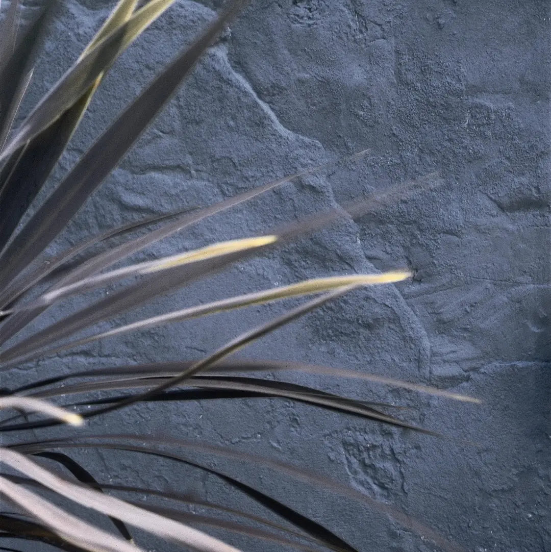 Bauwerk Limewash - Nigella