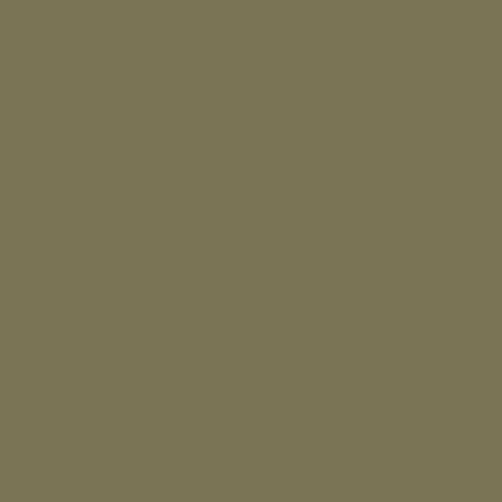 Bauwerk Limewash -  Olive