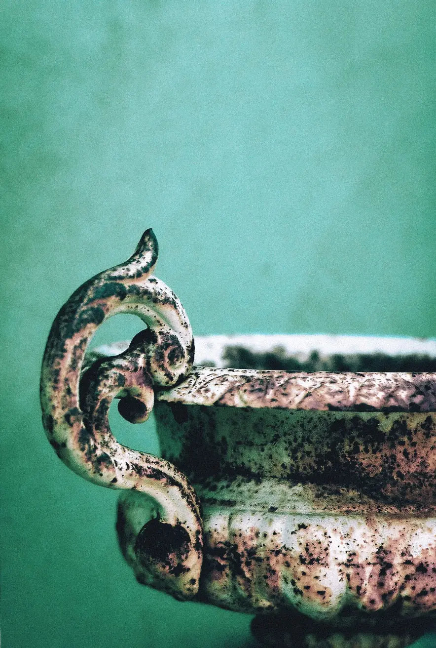 Bauwerk Limewash - Peppermint