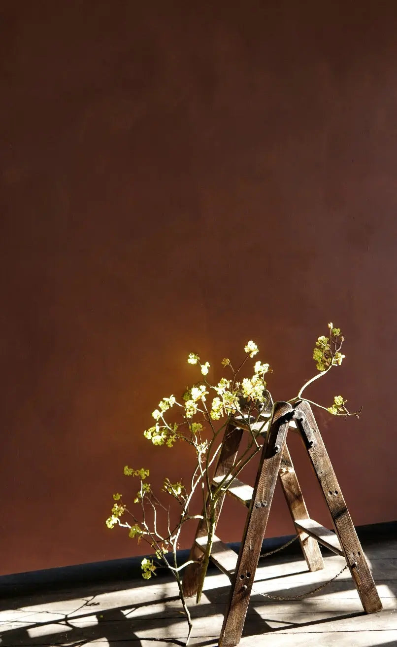 Bauwerk Limewash - Pheasant