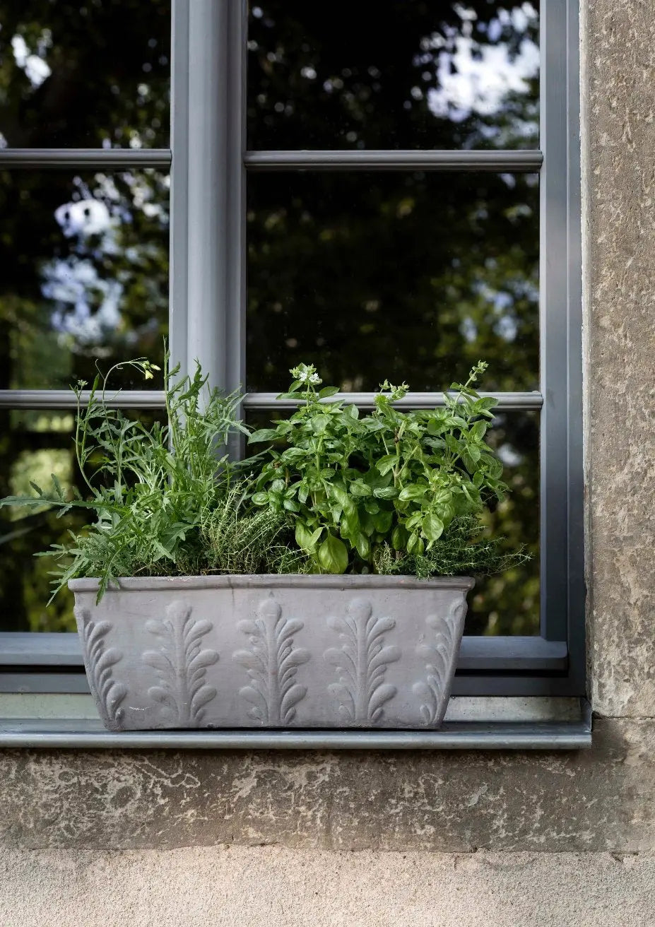 Bauwerk Limewash - Platinum