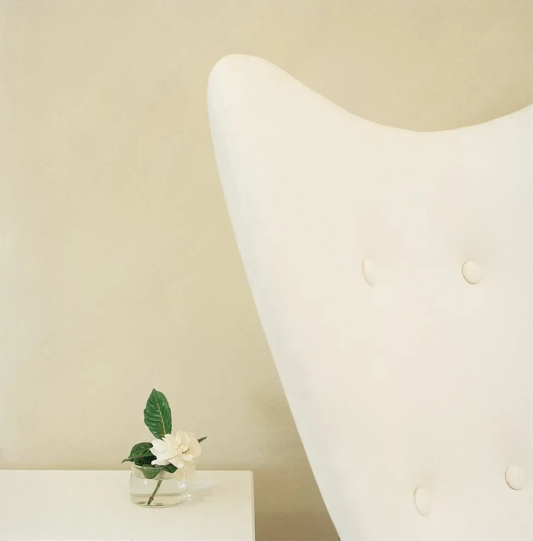 Bauwerk Limewash -  Reed