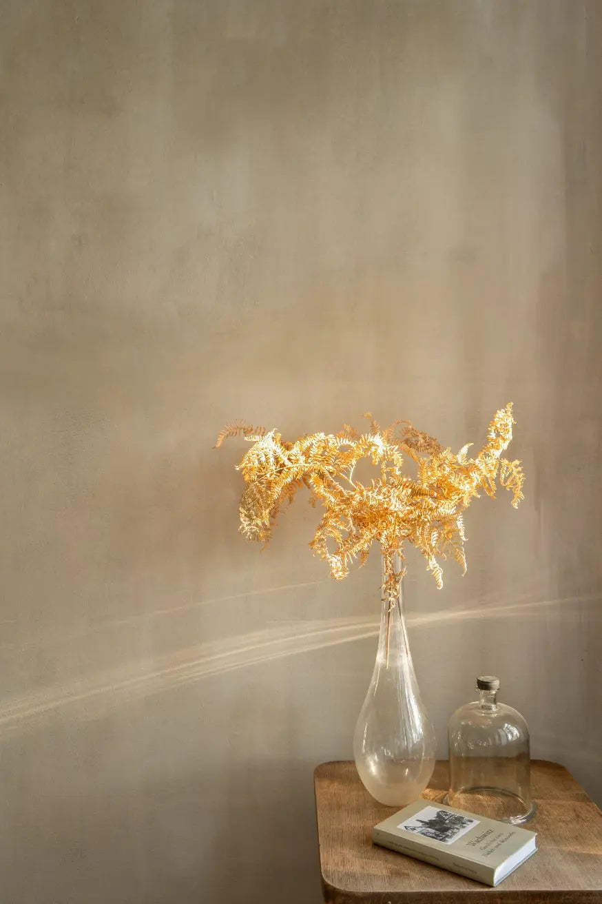 Bauwerk Limewash - Reflection