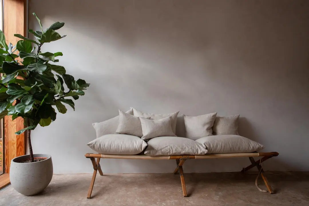 Bauwerk Limewash -   Saltbrush