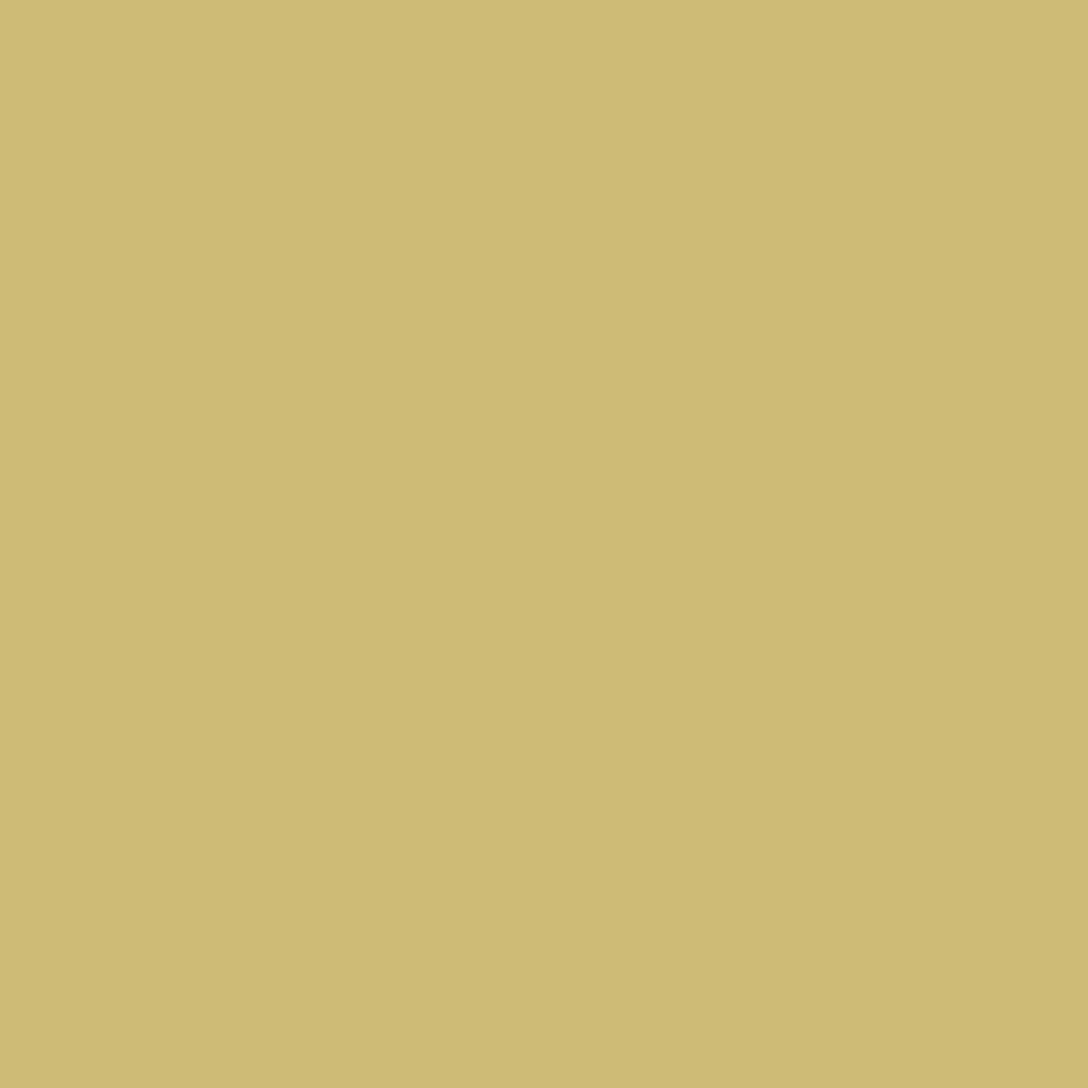Bauwerk Limewash -  Seagrass