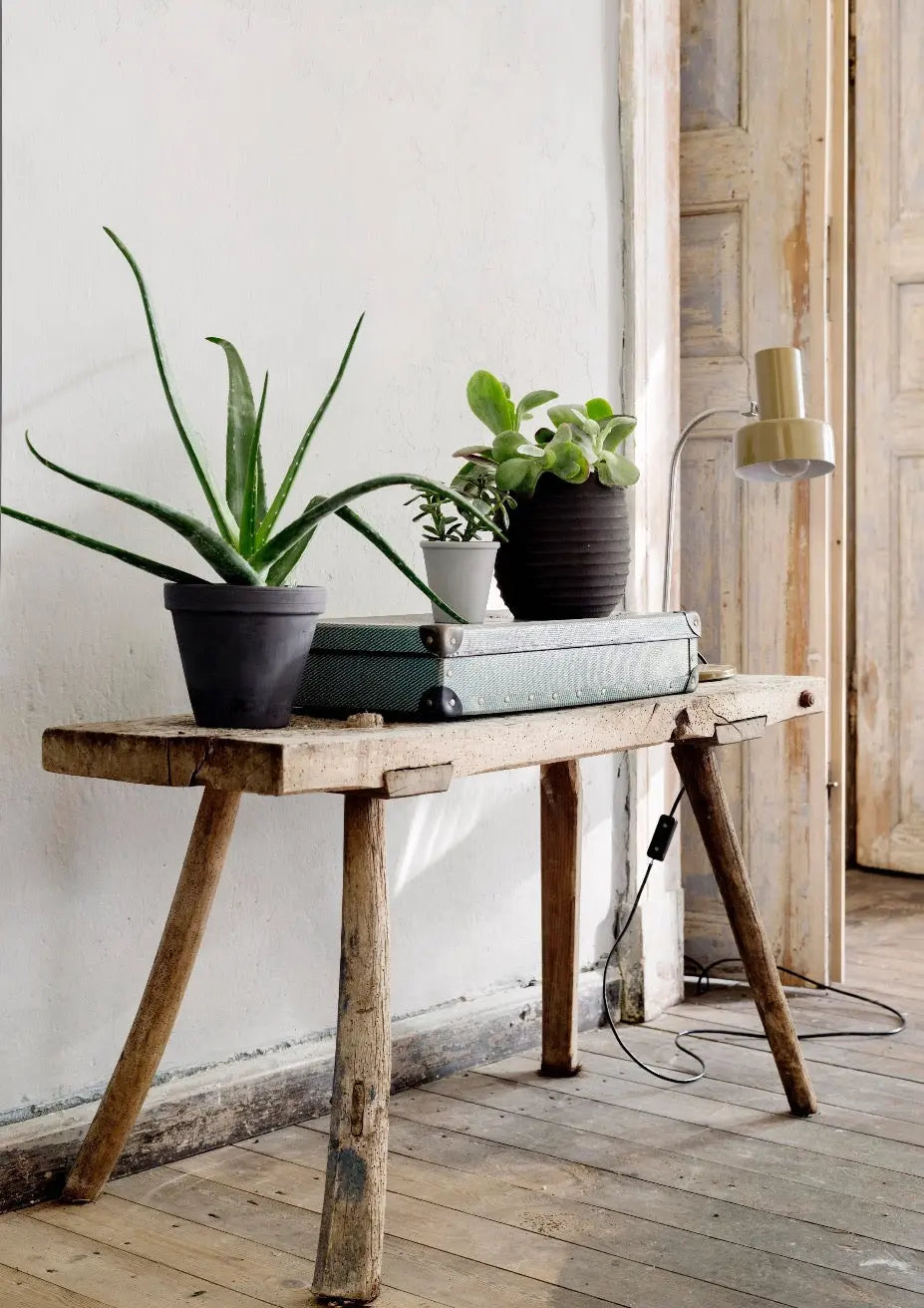 Bauwerk Limewash - Shale