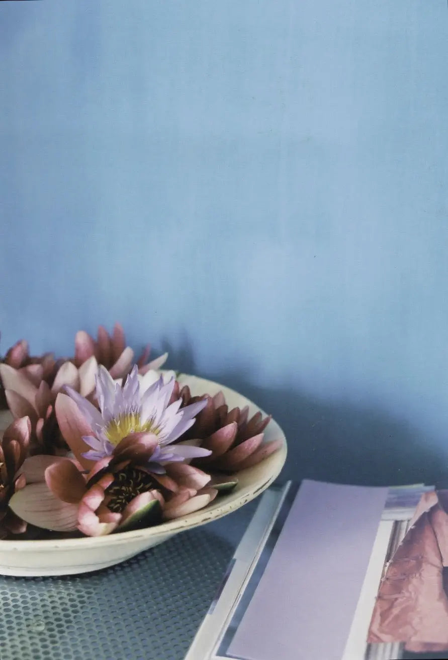 Bauwerk Limewash - Swallow