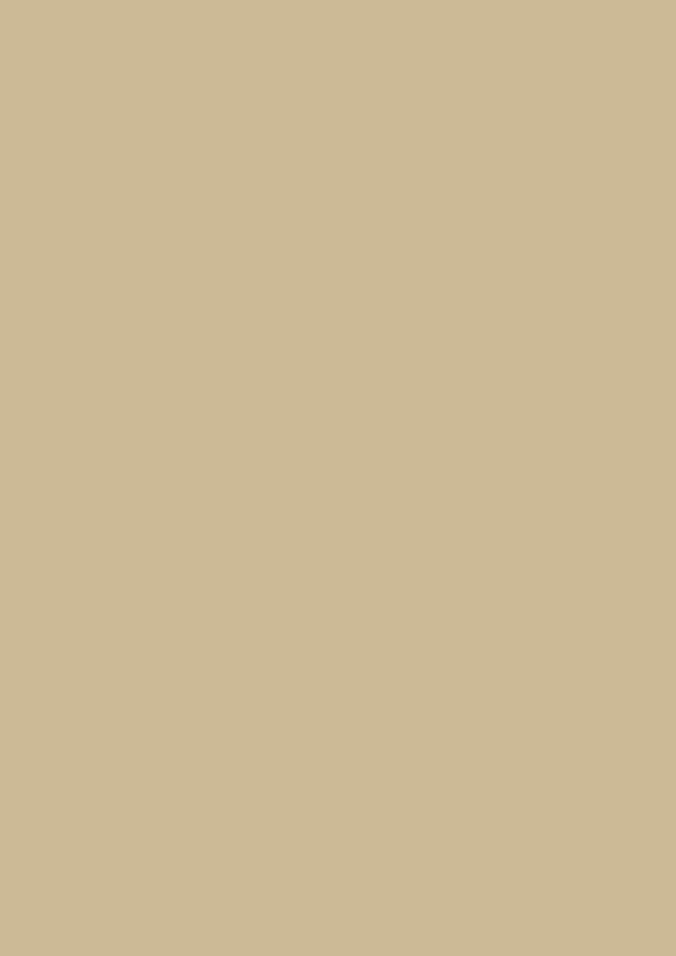 Bauwerk Limewash - Wheat