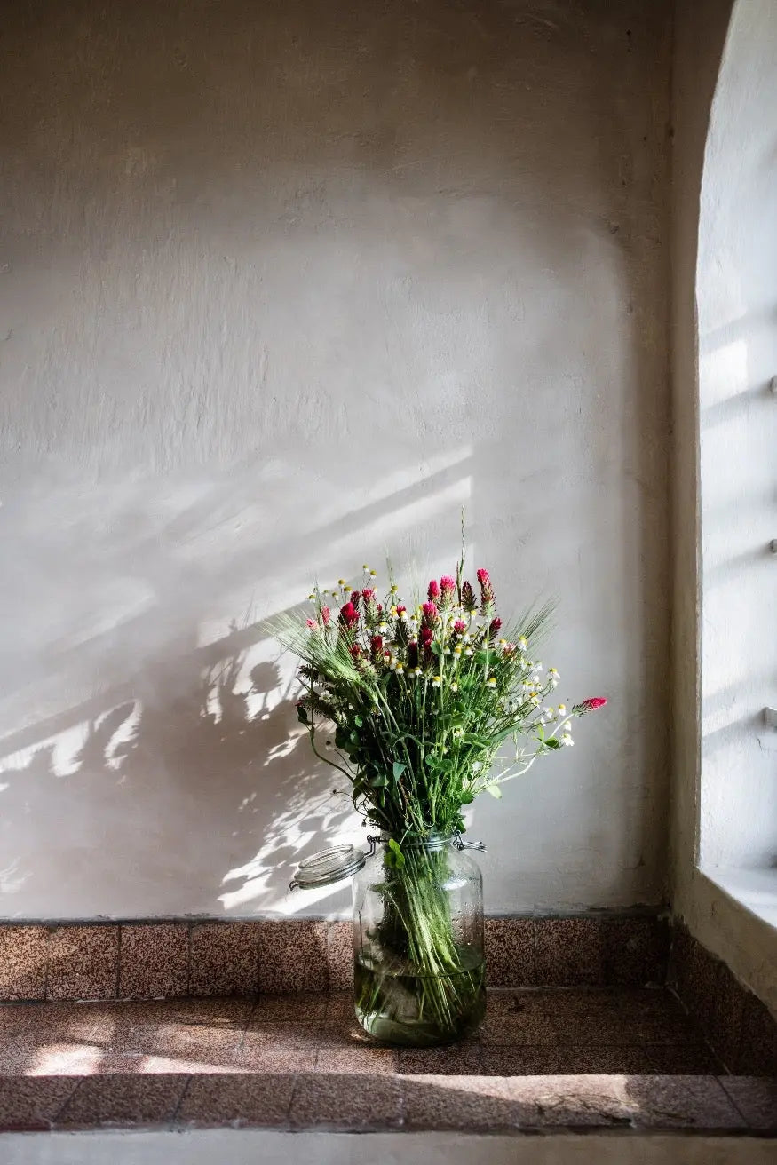 Bauwerk Limewash - White Fox