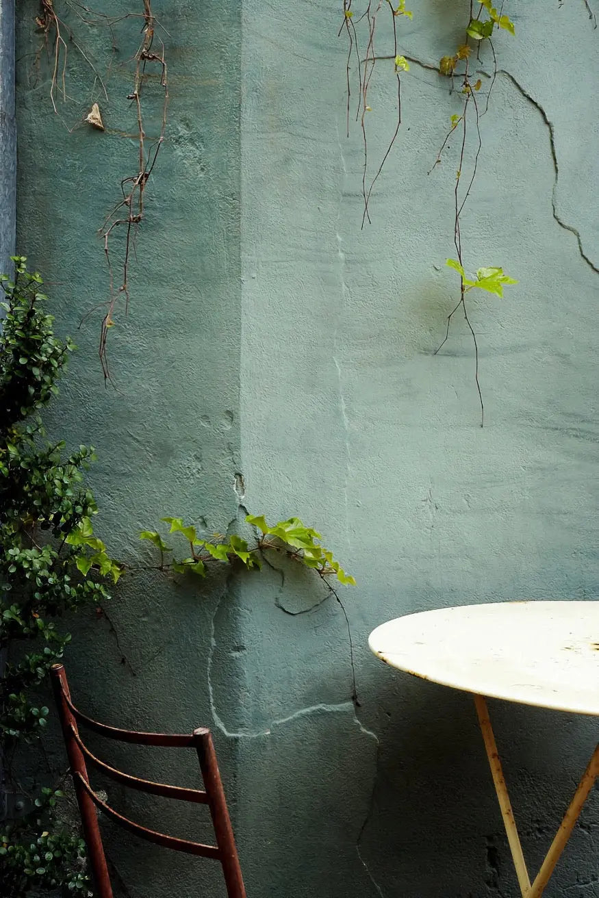 Bauwerk Limewash - Willow